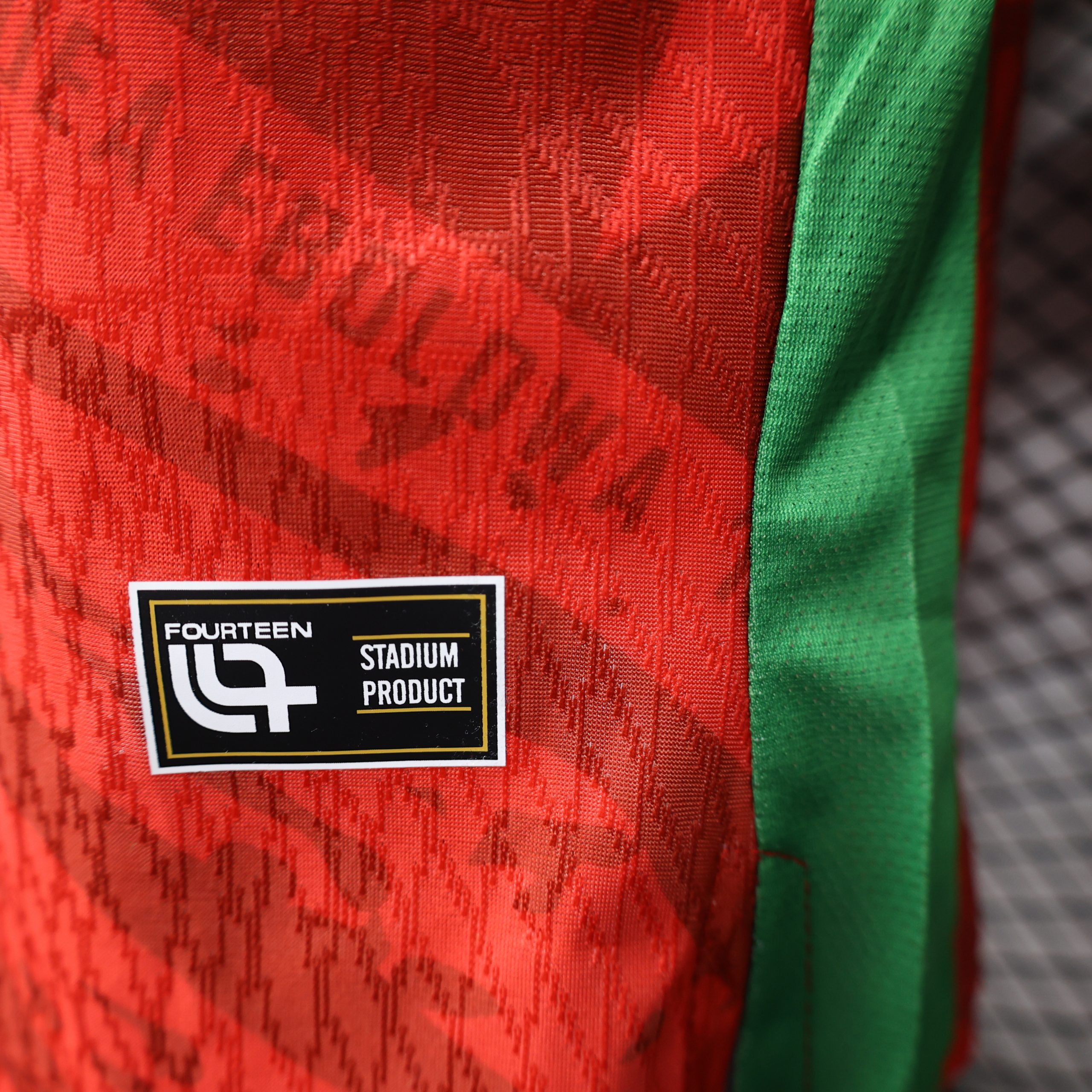 Camerún 1ª equipación 25/26 - Imagen 3