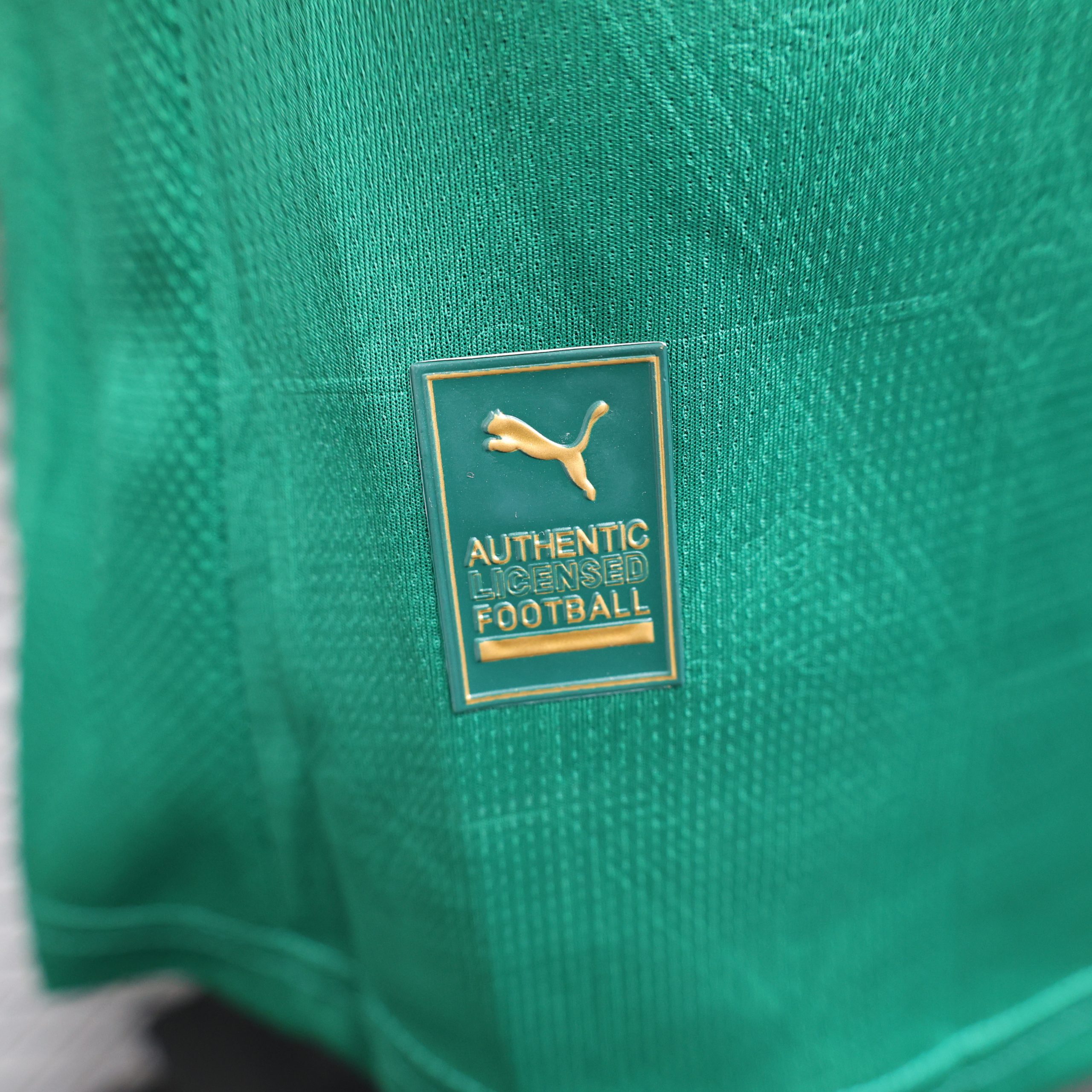 Palmeiras 1ª equipación 25/26 - Imagen 4