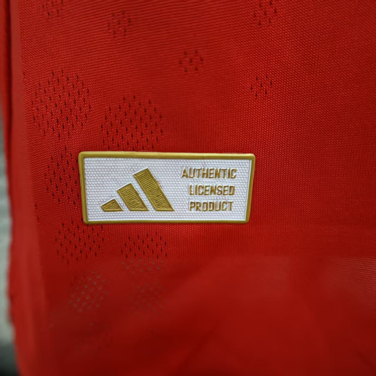 Benfica 1ª equipación 25/26 - Imagen 4