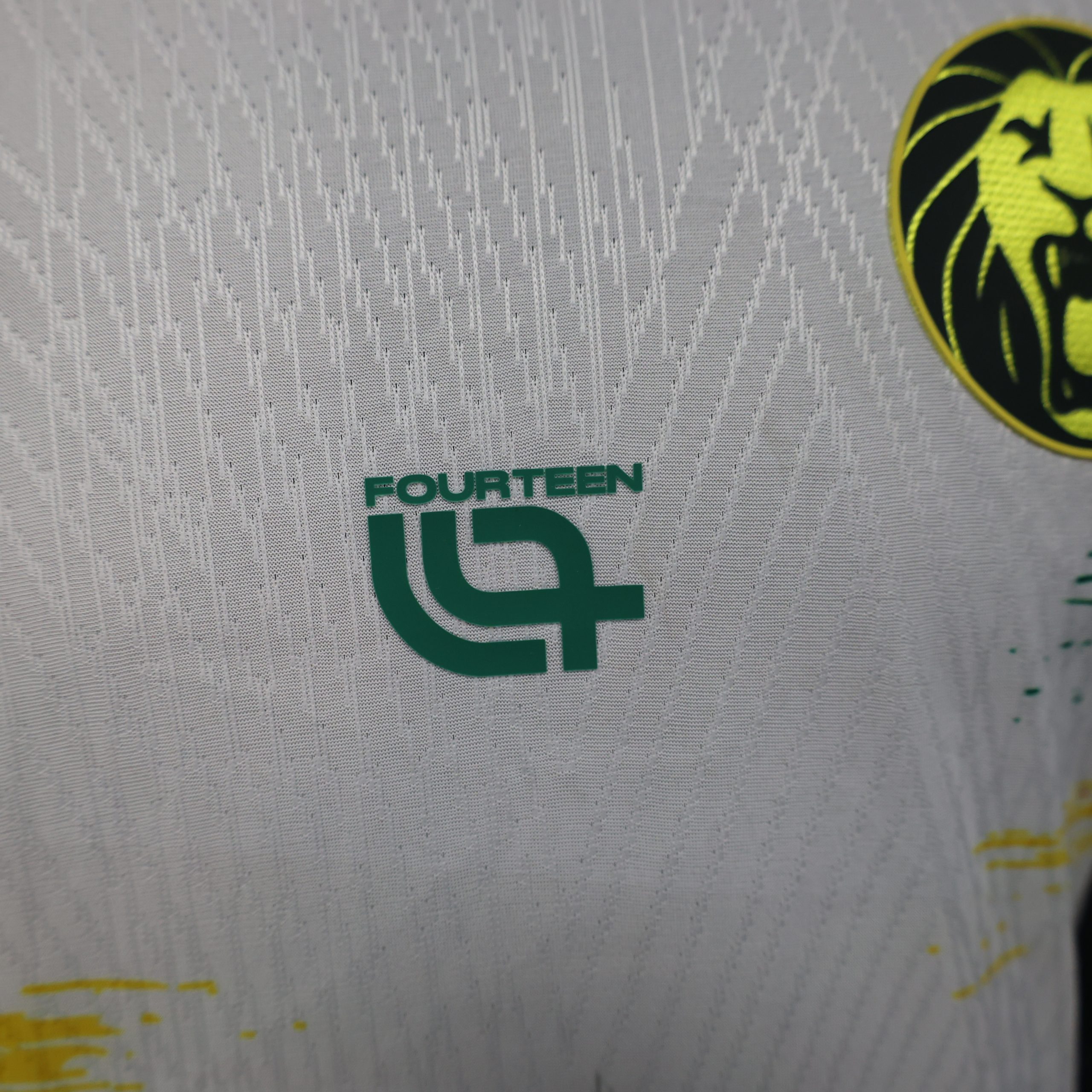 Camerún 3ª equipación 25/26 - Imagen 7